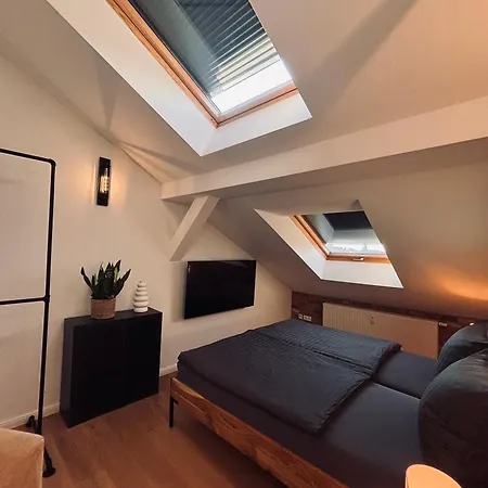 Apartment Loftstyle Mit Loggia Dresden